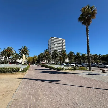 Apartsalou Michelangelo *