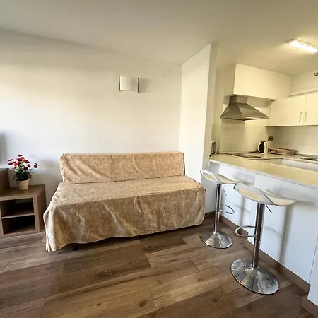 Apartsalou Michelangelo *